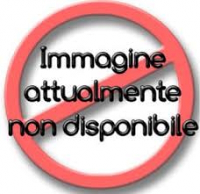 CEA0605014VP - MOTORE ELETTRICO - AMRE - COD. 2846Y/I - 80V - 12000 W - USATO